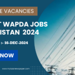 Official Advertisement for WAPDA Jobs 2024