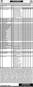 Health Department Sibi Division Jobs 2024 Advertisement