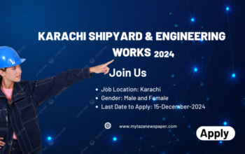 Latest Karachi Shipyard & Engineering Works Limited KSEW Jobs 2024